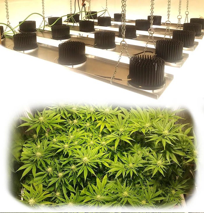 50w cob led heatsink application 2 50w cob led heatsink application 2